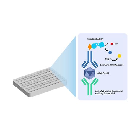 xpressbio elisa kit|Life Science Research .